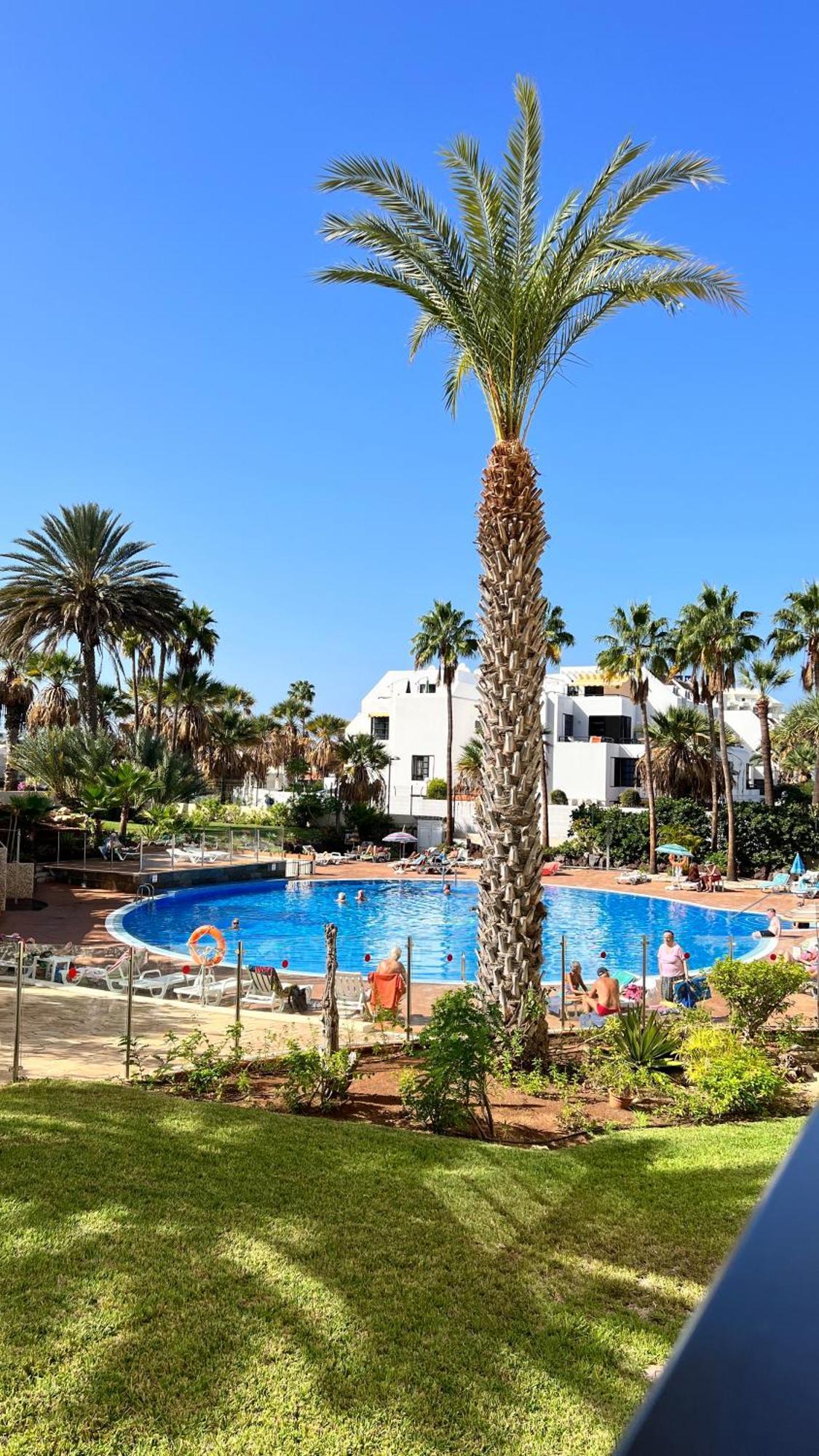 El Dorado - New Modern Apt Playa de las Americas  Luaran gambar