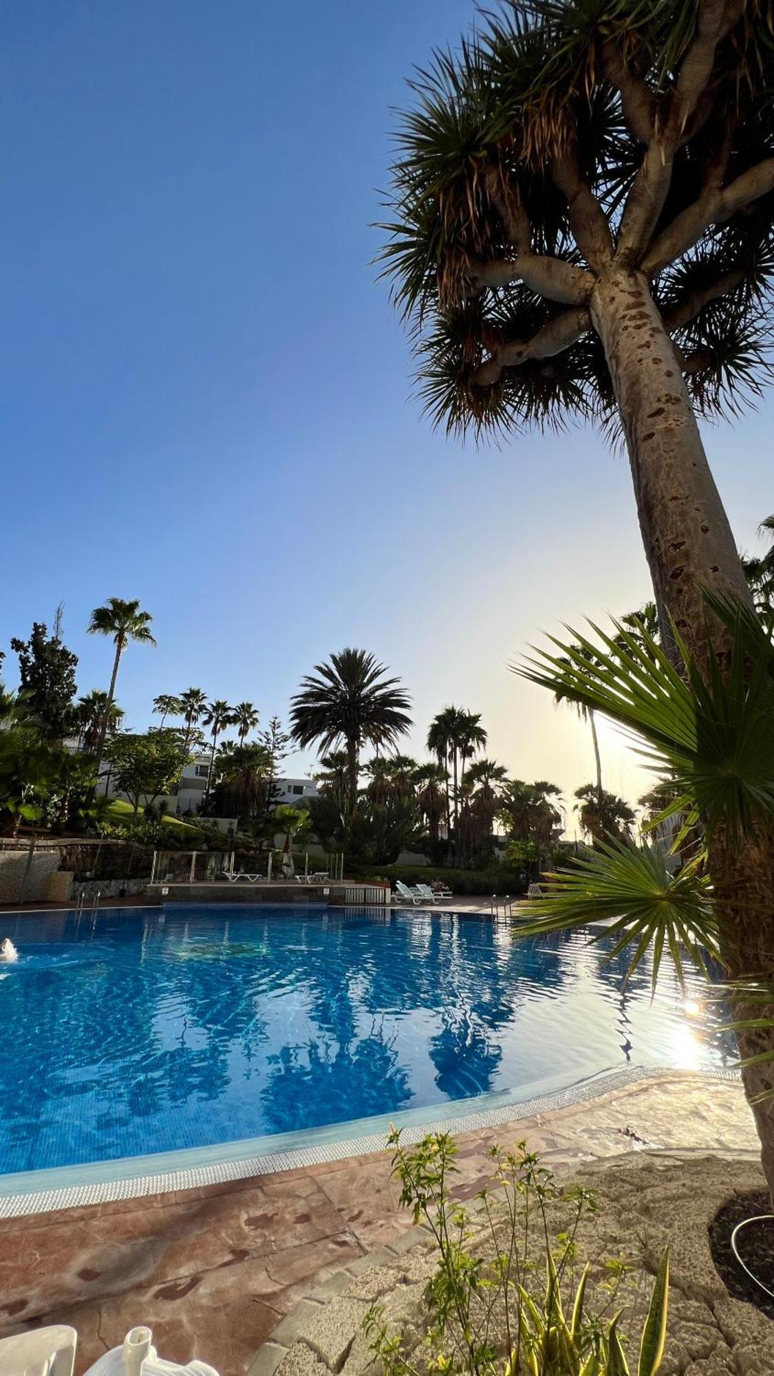 El Dorado - New Modern Apt Playa de las Americas  Luaran gambar